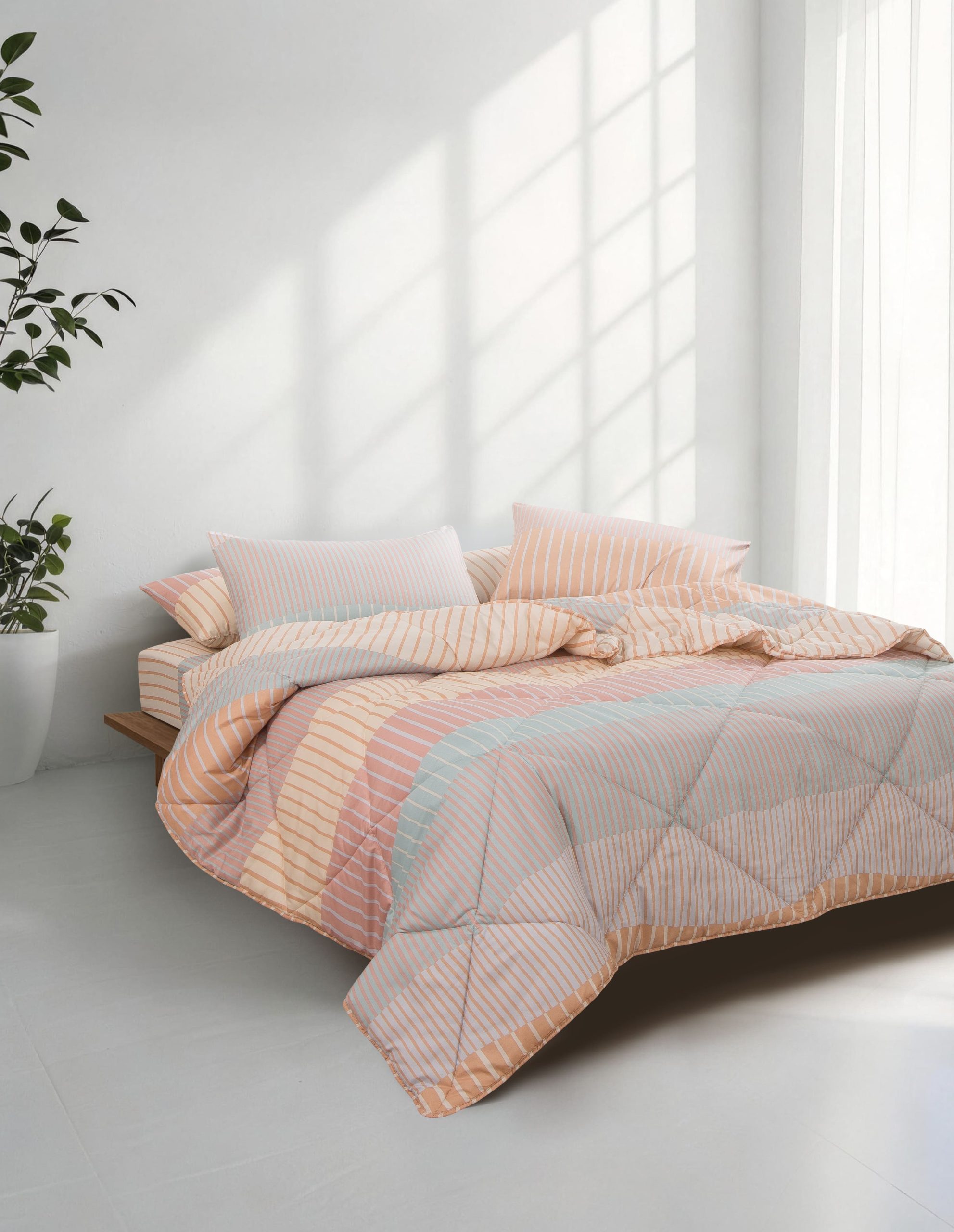 faythe b6 remi (1)